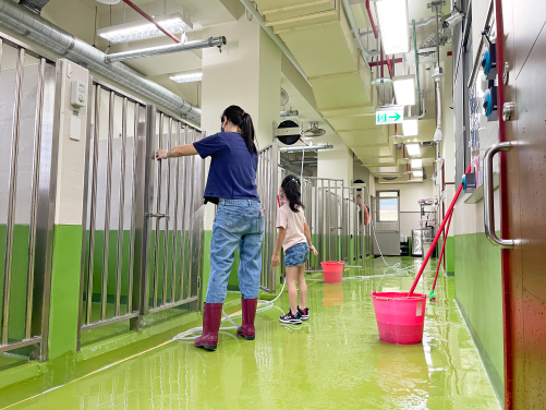 導盲犬志工們協助清掃導盲犬的犬舍，讓導盲犬晚上擁有乾淨、舒適的房間可以好好睡覺！