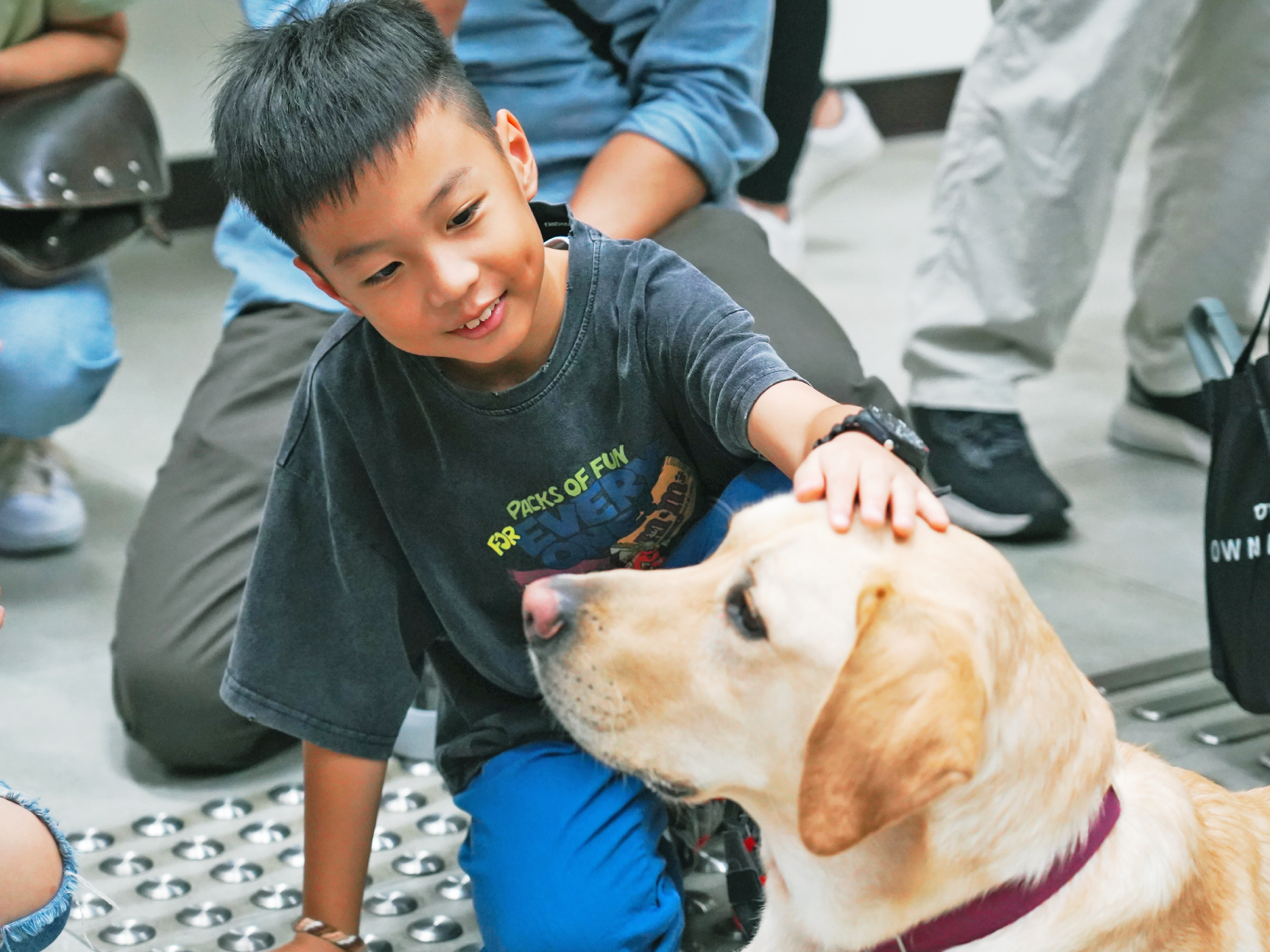 與導盲犬互動