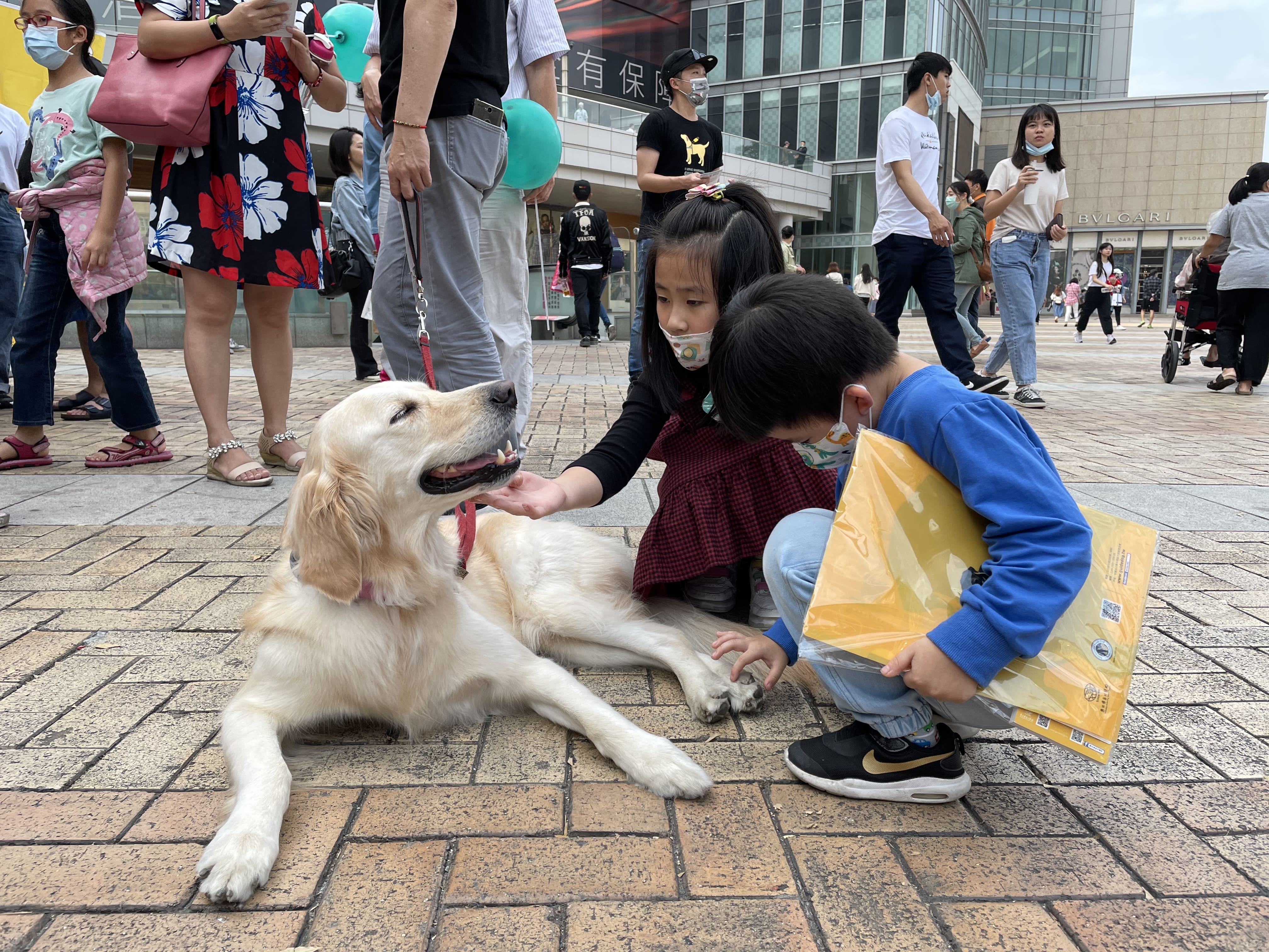 惠光導盲犬學校宣導活動
