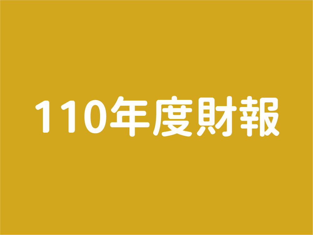 110年度財報(標題圖檔)