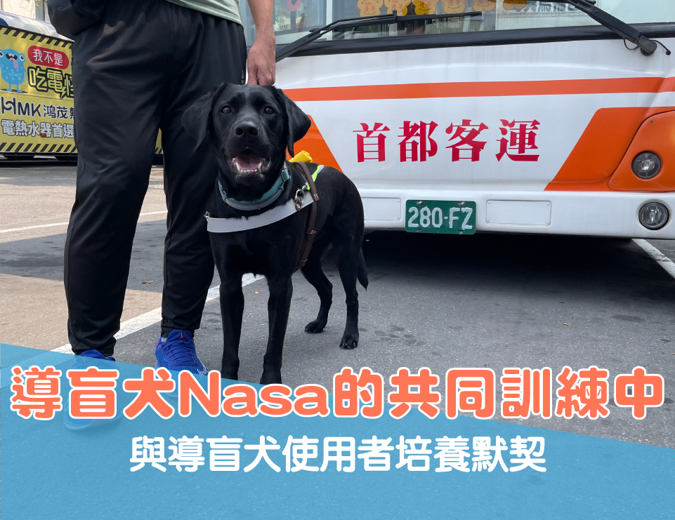 📽導盲犬Nasa的共同訓練(標題圖檔)