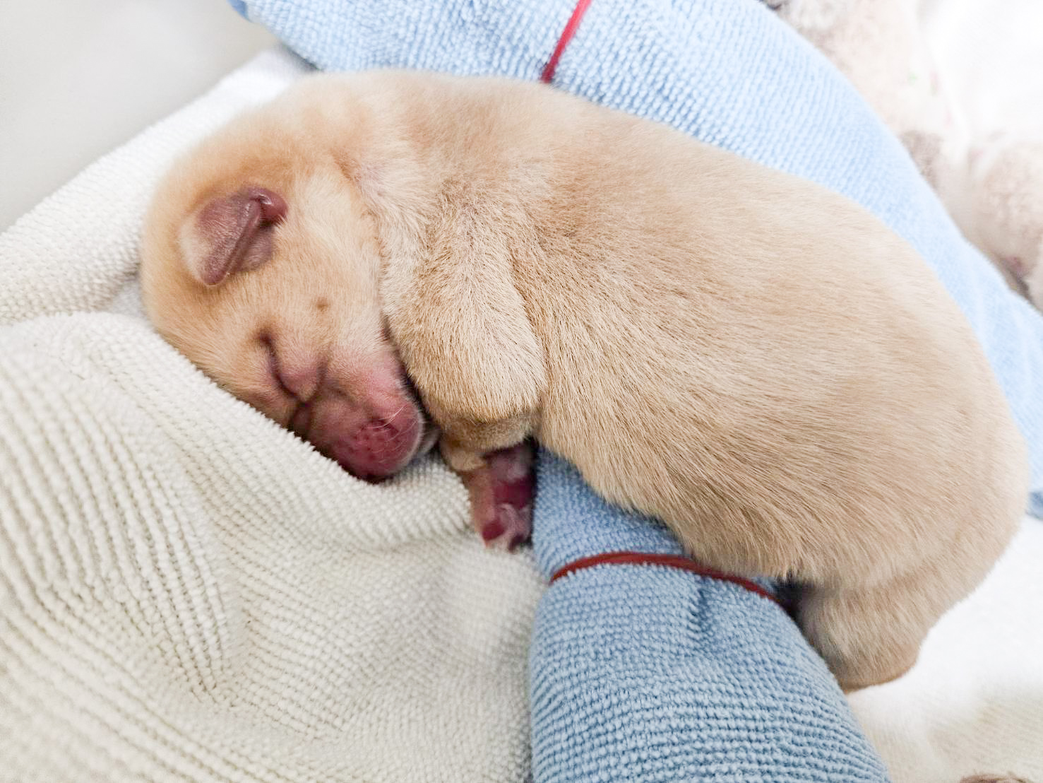 2026年4月宣導及募款活動訊息(標題圖檔)