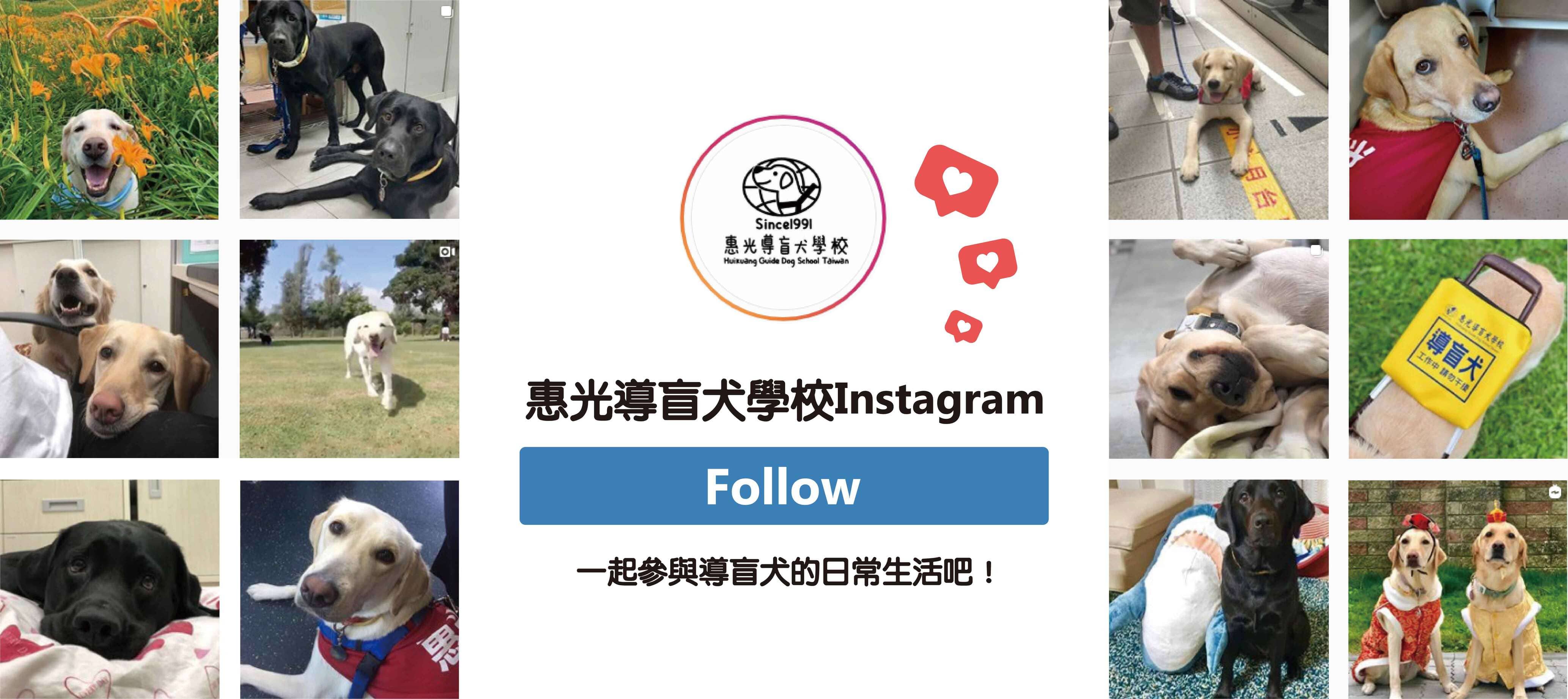 立刻前往惠光導盲犬學校Instagram(另開新頁)(另開新視窗) 立刻前往惠光導盲犬學校Instagram(另開新頁)
