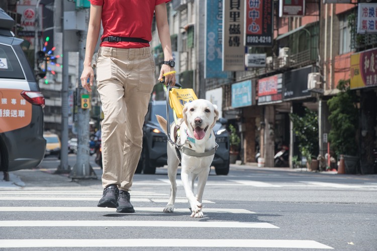 2025年12月宣導及募款活動訊息(標題圖檔)