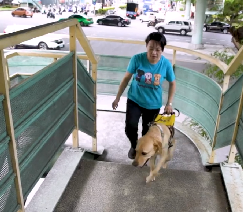 【專題報導】首位華人女性導盲犬指導員(標題圖檔)