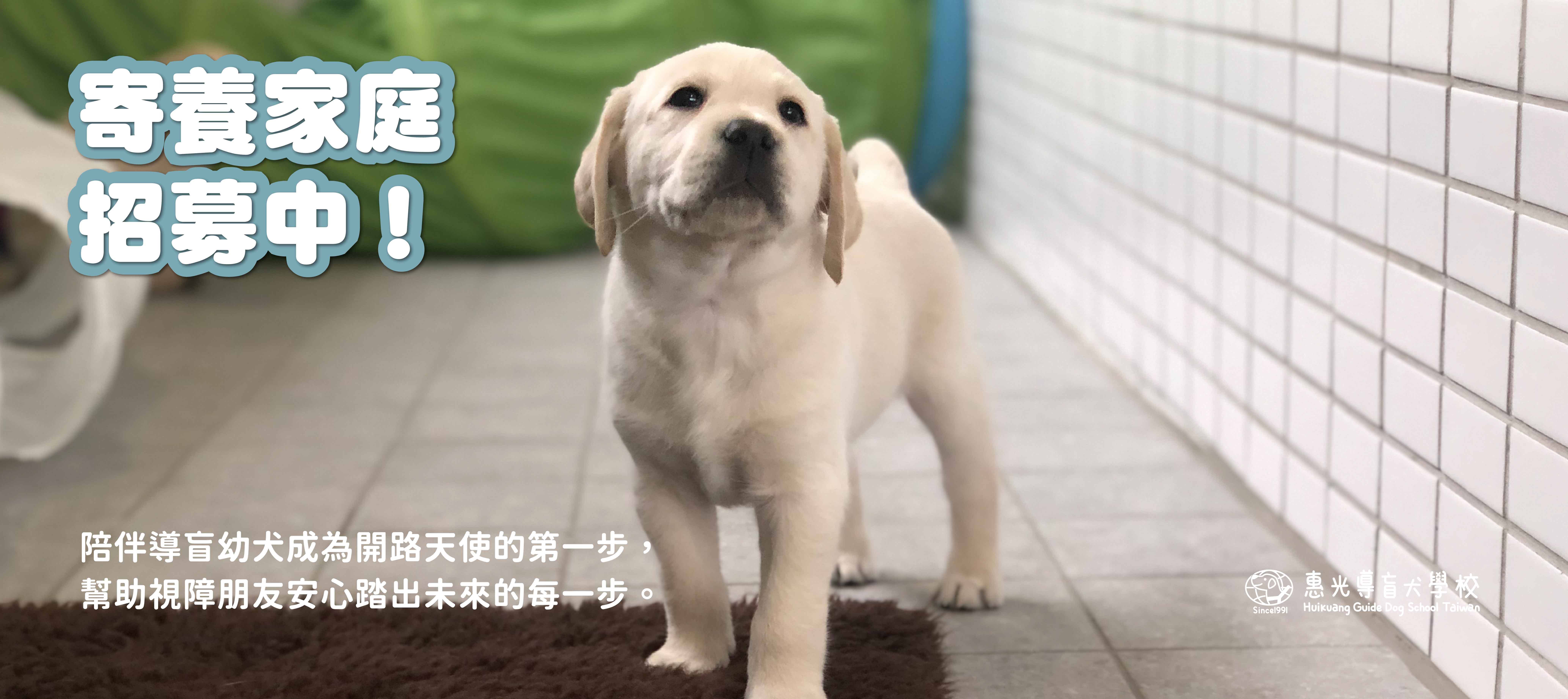 寄養家庭招募(另開新頁)(另開新視窗) 寄養家庭招募(另開新頁)