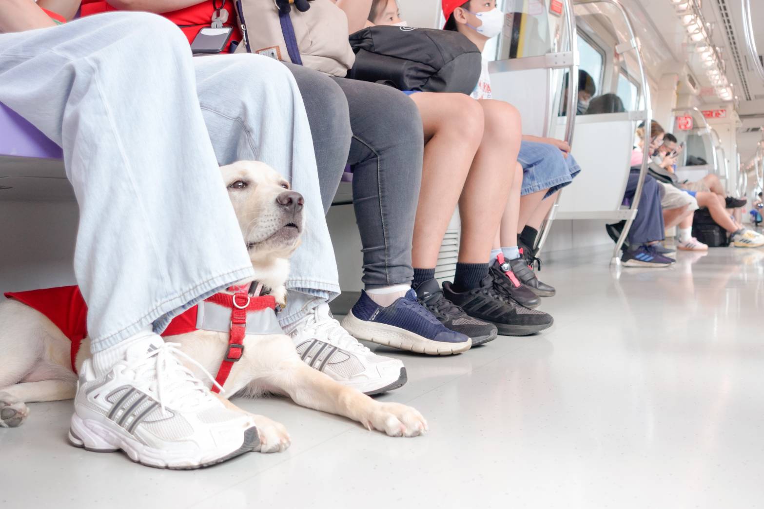 2025年11月宣導及募款活動訊息(標題圖檔)