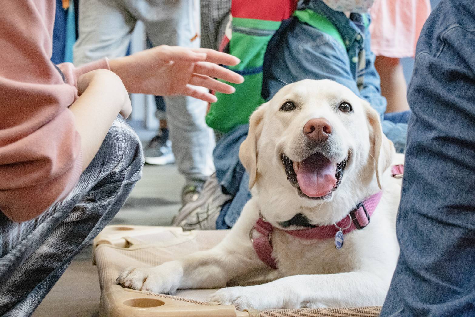 2025年10月宣導及募款活動訊息(標題圖檔)
