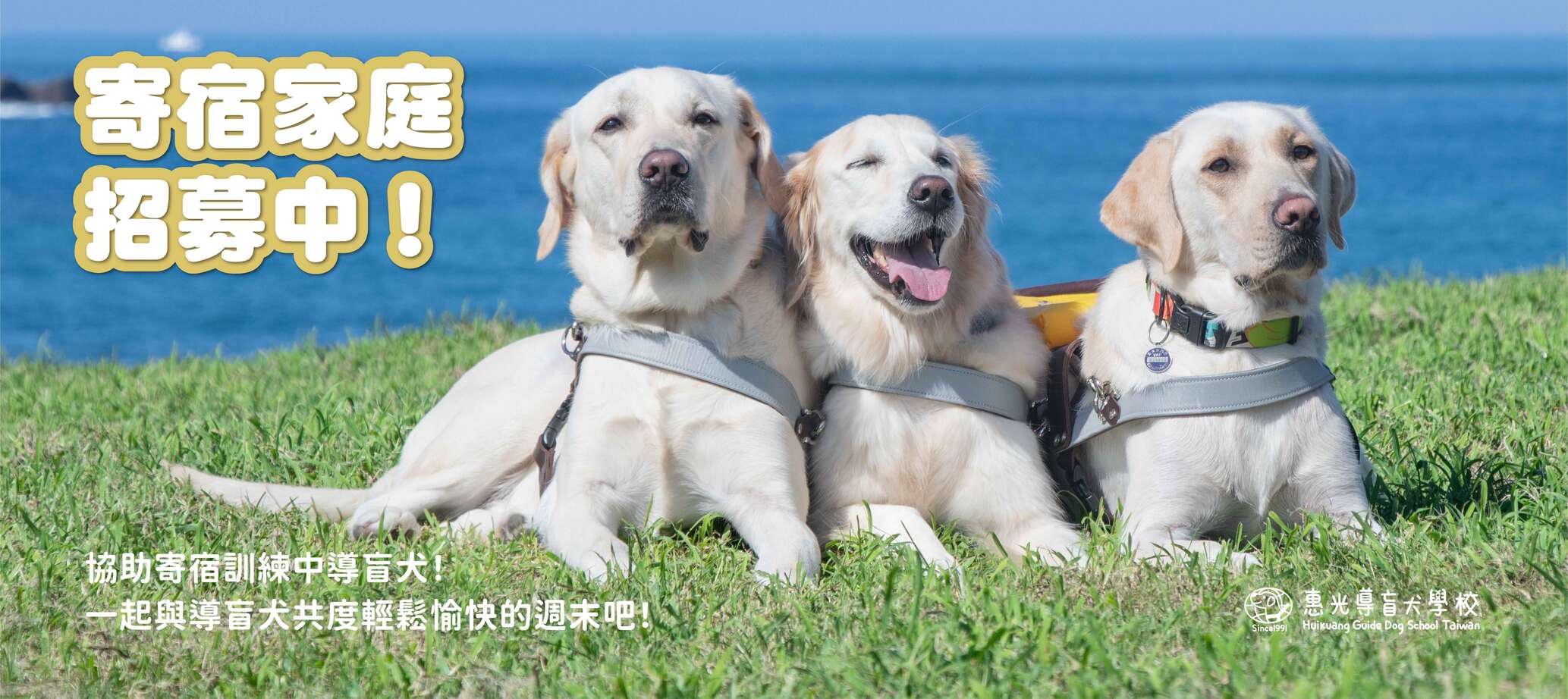 寄宿家庭招募(另開新頁)(另開新視窗) 寄宿家庭招募(另開新頁)