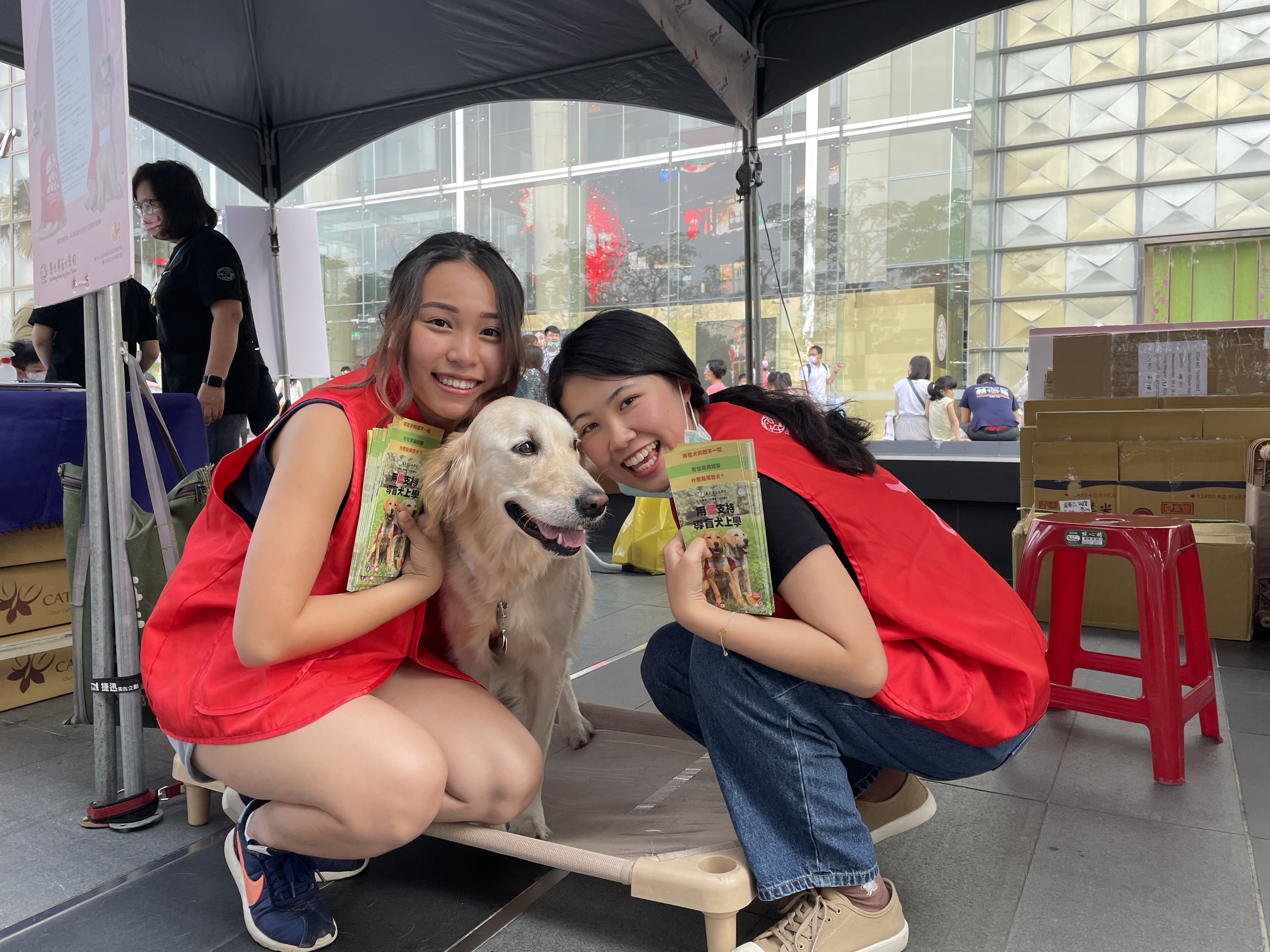 🐾【中部活動志工招募】🐾2022惠光導盲犬月(標題圖檔)