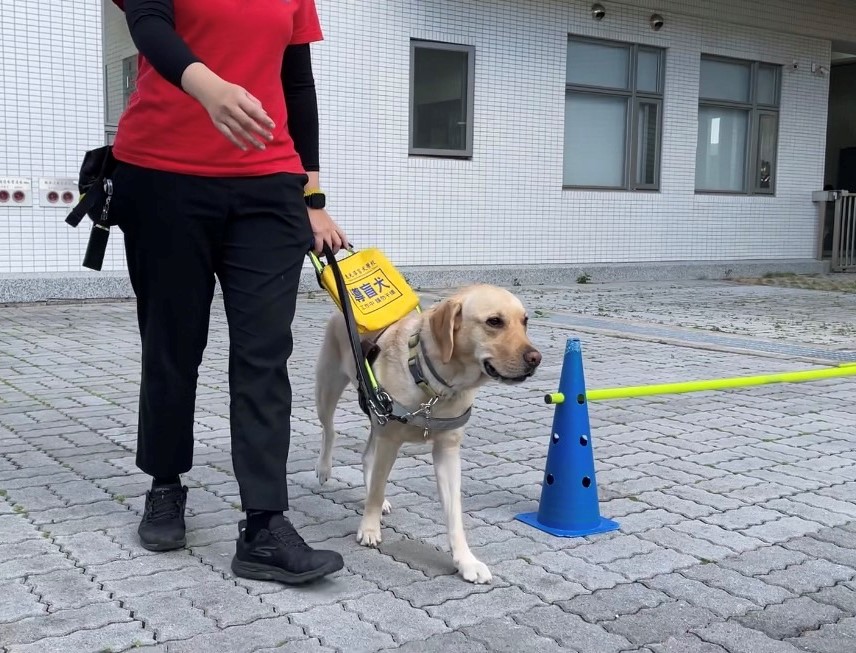 財團法人惠光導盲犬教育基金會 111年度「支持培育本土導盲犬計畫」(標題圖檔)