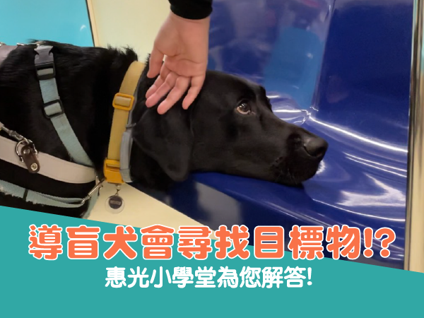 📽導盲犬會尋找目標物!?(標題圖檔)