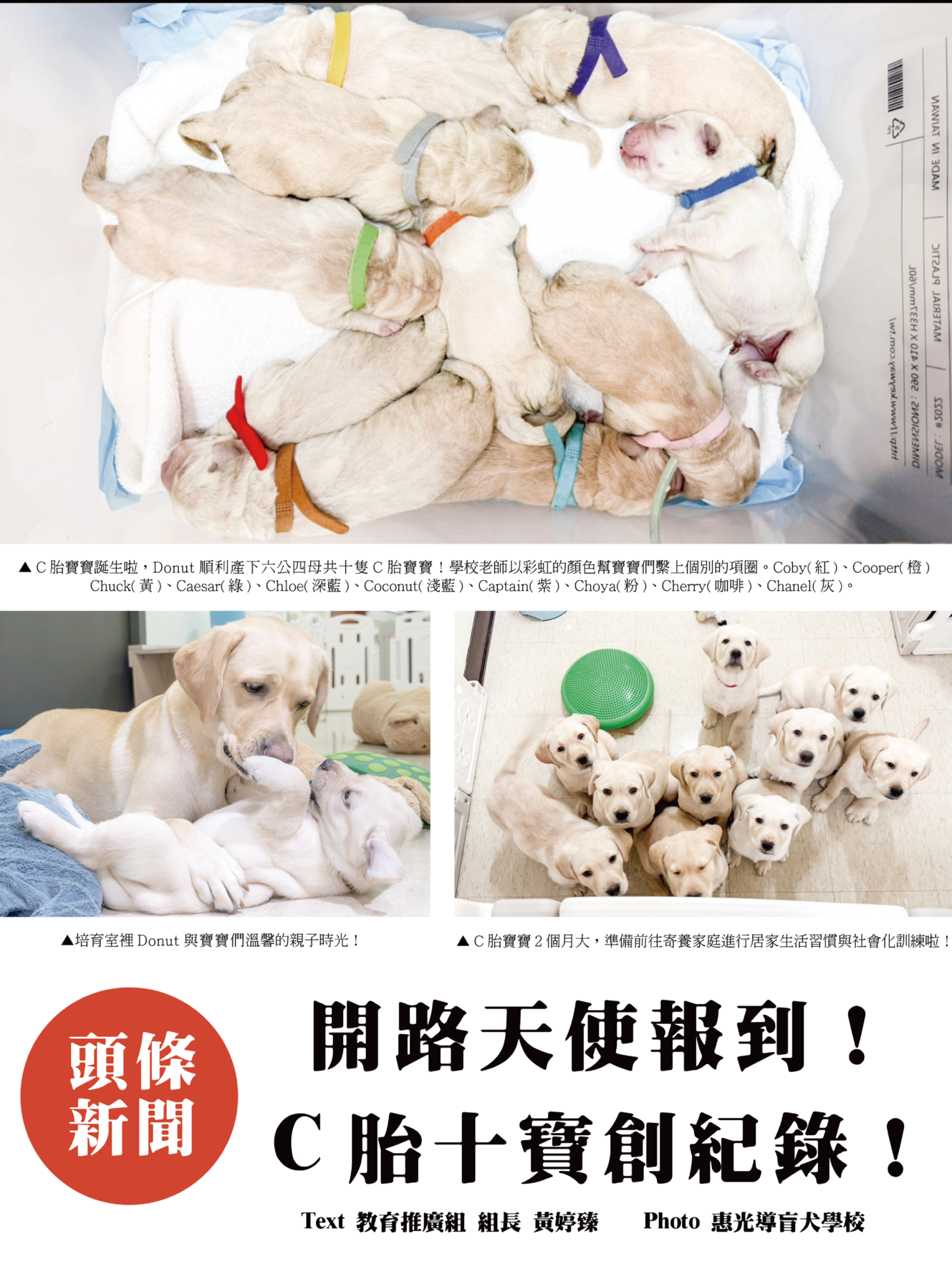 惠光郵報 ISSUE 45(標題圖檔)