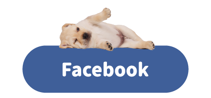 社群平台-Facebook