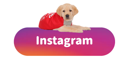 社群平台-Instagram
